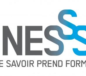Logo Inesss