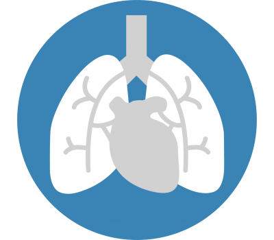 Icones Soins Relies Systeme Cardiovasculaire Et Respiratoire